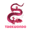 Taekwondo T-Shirt Official Taekwondo Merch