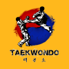 Taekwondo T-Shirt Official Taekwondo Merch