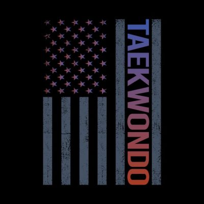 American Flag Taekwondo Tae Kwon Do Taekwon Do Throw Pillow Official Taekwondo Merch