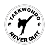 Taekwondo Throw Pillow Official Taekwondo Merch