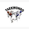 Taekwondo Tapestry Official Taekwondo Merch