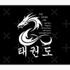 Martial Arts Dragon With Korean Taekwondo Symbols And 5 Tkd Tenets Tapestry Official Taekwondo Merch