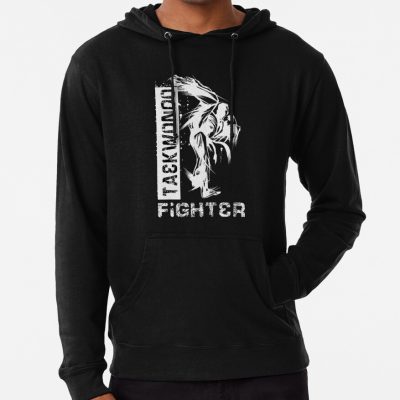 Taekwondo Fighter Hoodie Official Taekwondo Merch