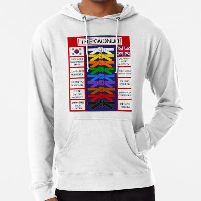 Taekwondo Poster Hoodie Official Taekwondo Merch