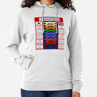 Taekwondo Poster Hoodie Official Taekwondo Merch