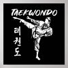 taekwondo lover poster r588155db07df467ca867dcb4184b8b8a wvk 8byvr 1000 - Taekwondo Gifts