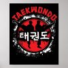taekwondo martial art sport distressed style kick poster re960f71c2e0649b783296060b50e57cd wva 8byvr 1000 - Taekwondo Gifts